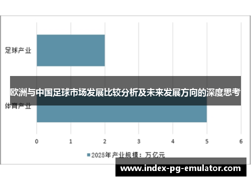 欧洲与中国足球市场发展比较分析及未来发展方向的深度思考 欧洲与中国足球市场发展比较分析及未来发展方向的深度思考