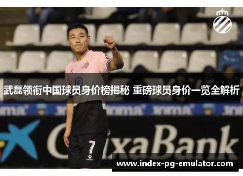 武磊领衔中国球员身价榜揭秘 重磅球员身价一览全解析 武磊领衔中国球员身价榜揭秘 重磅球员身价一览全解析