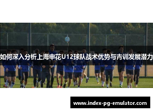 如何深入分析上海申花U12球队战术优势与青训发展潜力 如何深入分析上海申花U12球队战术优势与青训发展潜力