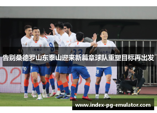 告别桑德罗山东泰山迎来新篇章球队重塑目标再出发
