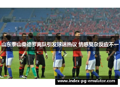 山东泰山桑德罗离队引发球迷热议 情感复杂反应不一