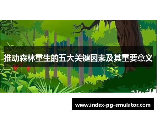 推动森林重生的五大关键因素及其重要意义 推动森林重生的五大关键因素及其重要意义