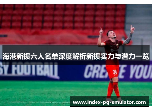 海港新援六人名单深度解析新援实力与潜力一览