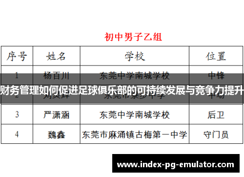 财务管理如何促进足球俱乐部的可持续发展与竞争力提升 财务管理如何促进足球俱乐部的可持续发展与竞争力提升