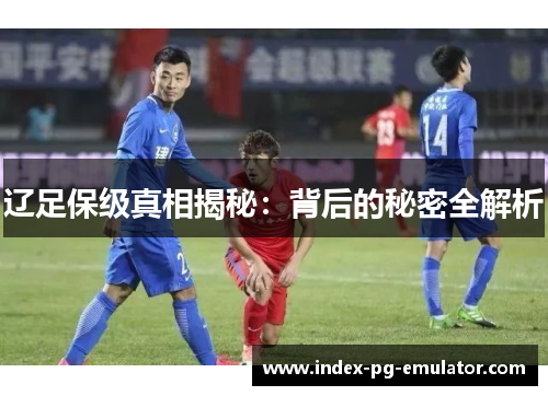 辽足保级真相揭秘:背后的秘密全解析 辽足保级真相揭秘:背后的秘密全解析