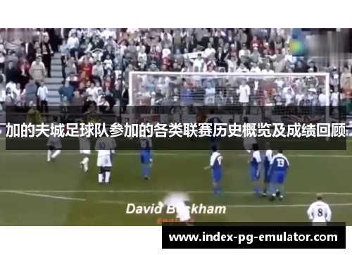 加的夫城足球队参加的各类联赛历史概览及成绩回顾 加的夫城足球队参加的各类联赛历史概览及成绩回顾