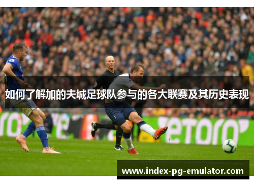 如何了解加的夫城足球队参与的各大联赛及其历史表现 如何了解加的夫城足球队参与的各大联赛及其历史表现