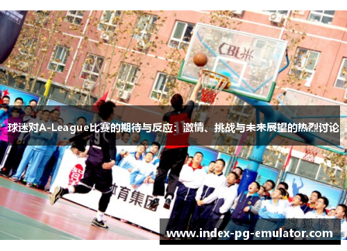 球迷对A-League比赛的期待与反应：激情、挑战与未来展望的热烈讨论