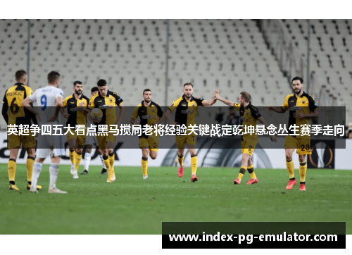 英超争四五大看点黑马搅局老将经验关键战定乾坤悬念丛生赛季走向 英超争四五大看点黑马搅局老将经验关键战定乾坤悬念丛生赛季走向